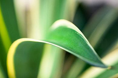 《仙乐传说：复刻版》明年2月16日发售 支持中文